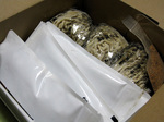080308_Rokurinsya2.jpg